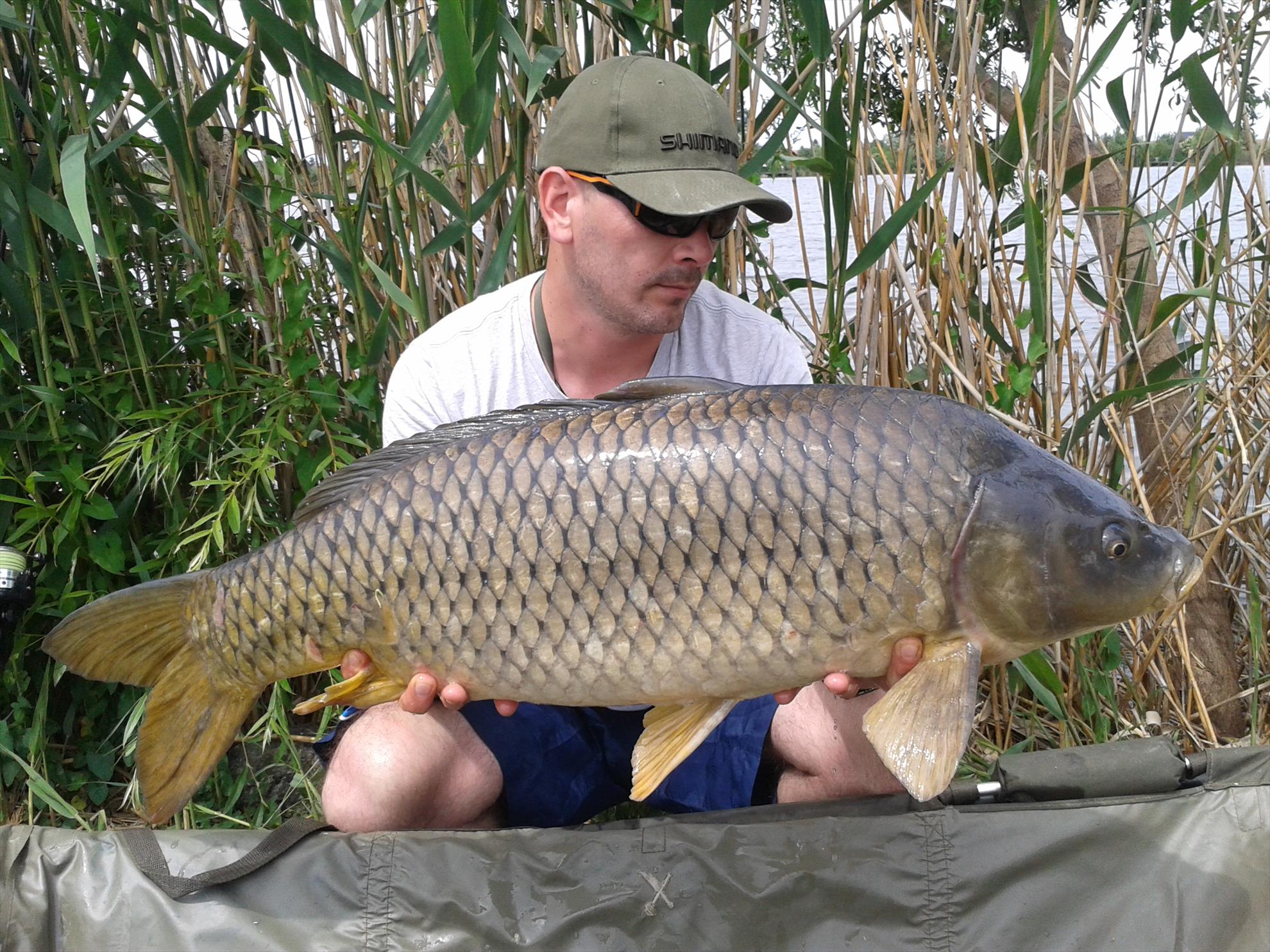 15-17.05.2015 - 20150516125447.jpg